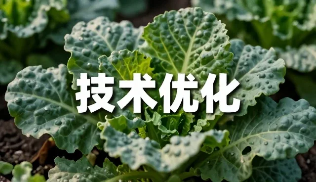 有机蔬菜种植中常见问题及适用性能解决方案